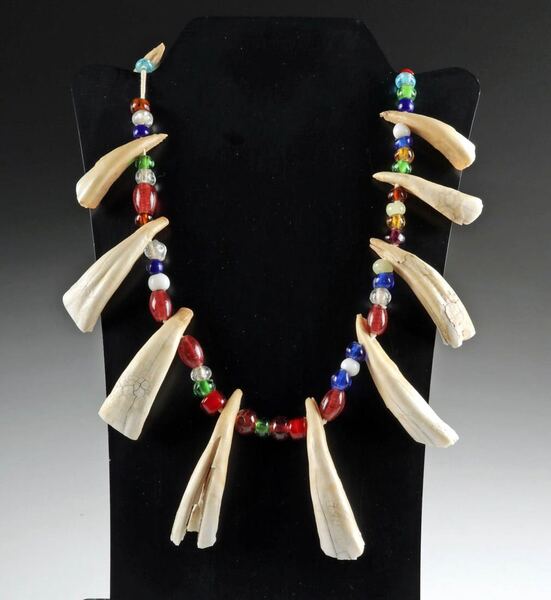 Ojibwa Beaded Necklace with Teeth