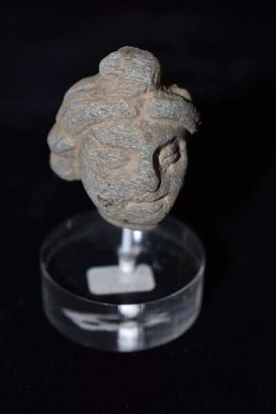 Gandharan Schist Head of a Man