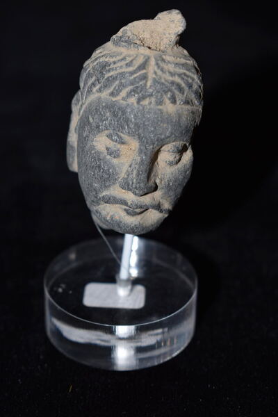 Gandharan Schist Head of a Bearded Man