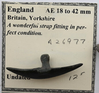 Strap Fitting from Yorkshire