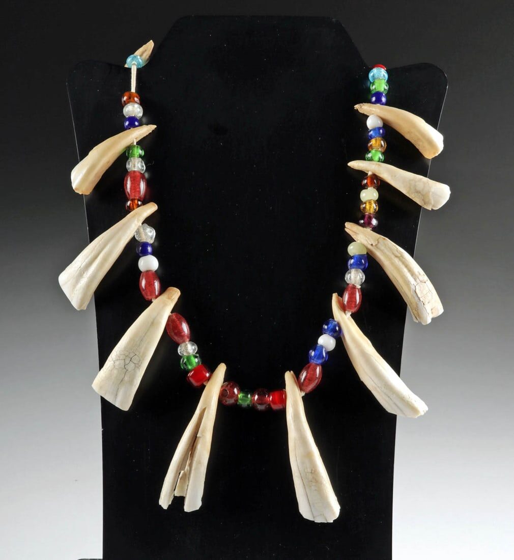 Ojibwa Beaded Necklace with Teeth