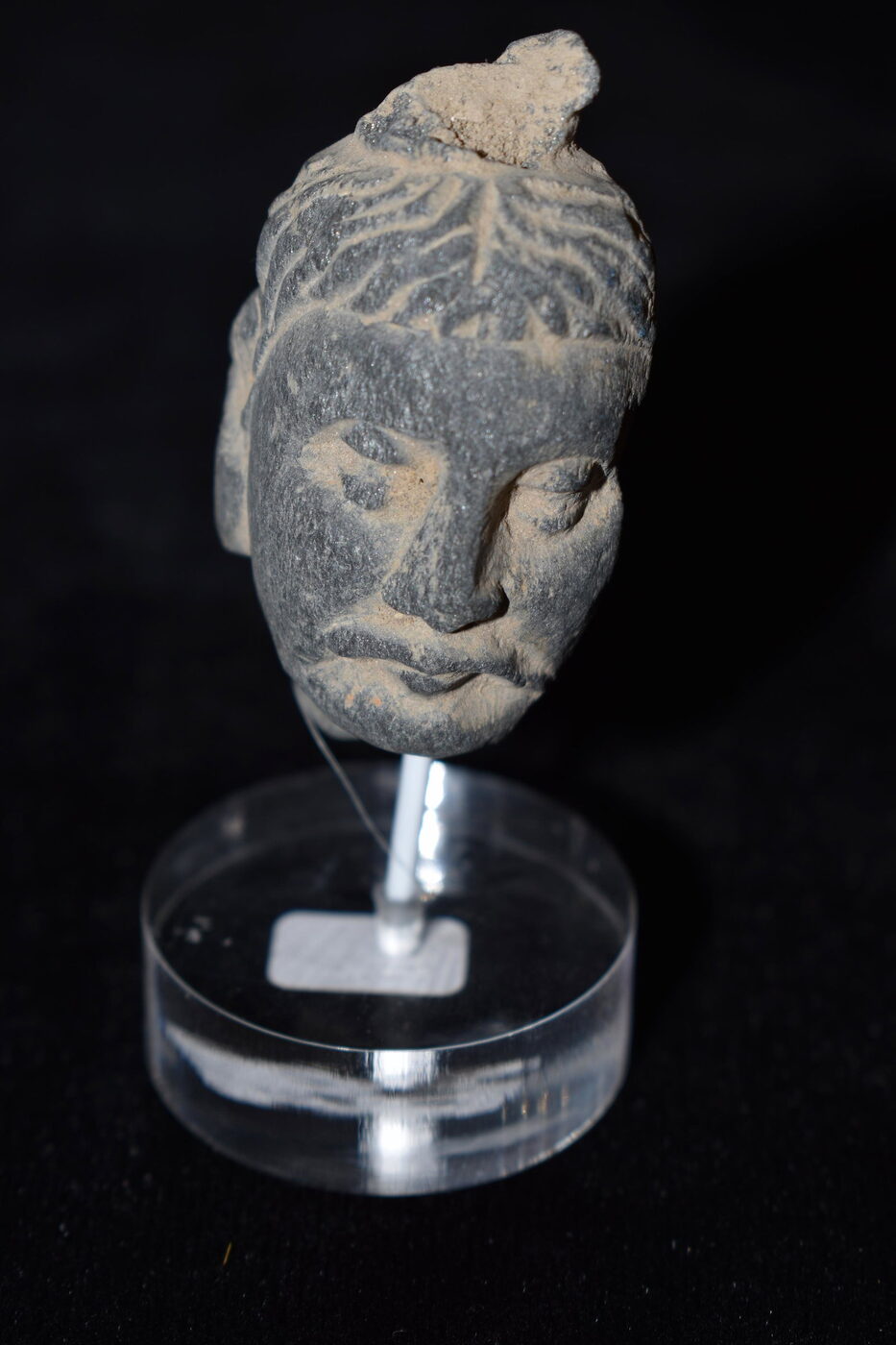Gandharan Schist Head of a Bearded Man