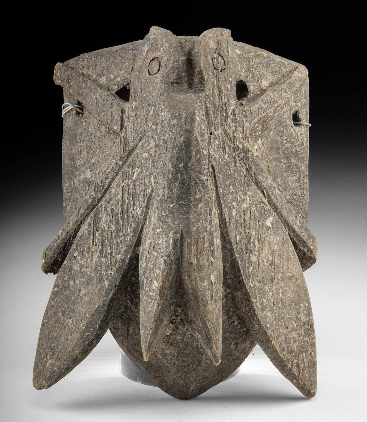 19th C. Mexican Folk Art Wood Insect Mask