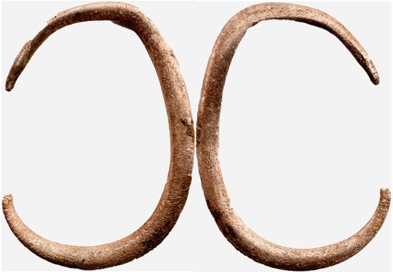 Roman Silver Earing